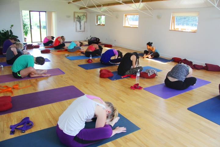 Beginners Yoga: A Four Week Course